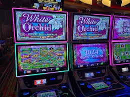 slots spin Live tables